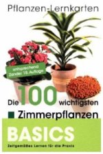 Zimmerpflanzen