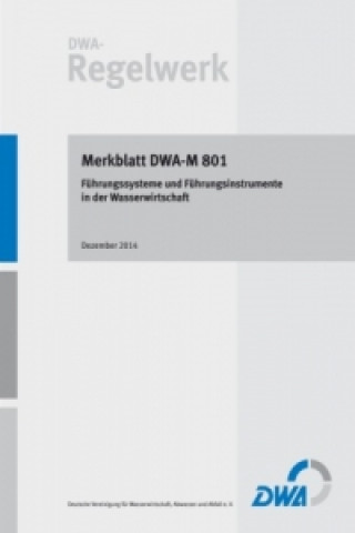 DWA-M 801: Führungssysteme und Führungsinstrumente in der Wasserwirtschaft