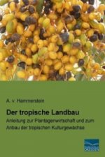 Der tropische Landbau