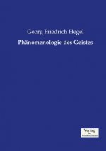 Phanomenologie des Geistes