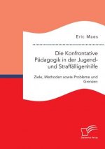 Konfrontative Padagogik in der Jugend- und Straffalligenhilfe