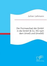 Formwechsel der GmbH in die GmbH & Co. KG nach dem UmwG und UmwStG