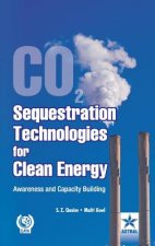 Co2 Sequestration Technologies for Clean Energy