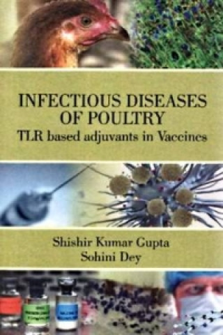 Infectious Diseases of Poultry: Tlr Based Adjuvents in Vaccines