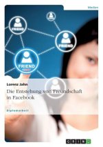 Entstehung von Freundschaft in Facebook
