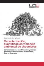 Caracterizacion, cuantificacion y manejo ambiental de escombros