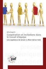 Cooperation Et Incitations Dans Le Travail d'Equipe