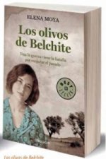 Los olivos de Belchite