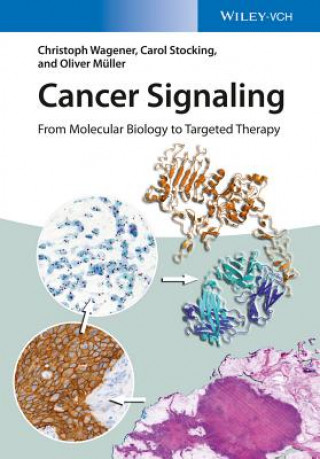 Cancer Signaling - From Molecular Biology to Targeted Therapy