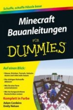 Minecraft Bauanleitungen fur Dummies