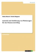 Auswahl und Einfuhrung von Werkzeugen fur das Finanzcontrolling