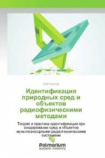 Identifikaciya prirodnyh sred i obiektov radiofizicheskimi metodami