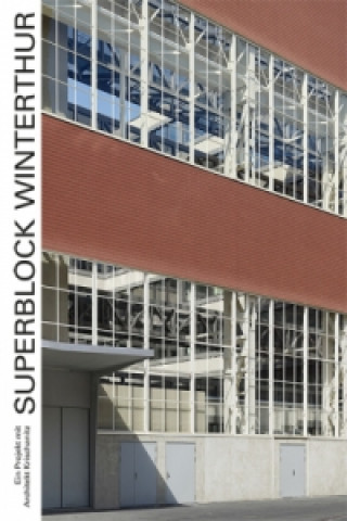 Superblock Winterthur - Ein Projekt mit Architekt Krischanitz