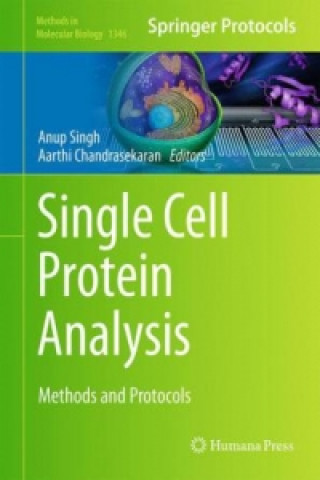 Single Cell Protein Analysis