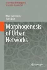 Morphogenesis of Spatial Networks
