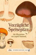 Vorzügliche Speisepilze