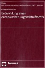 Entwicklung Eines Europäischen Jugendstr