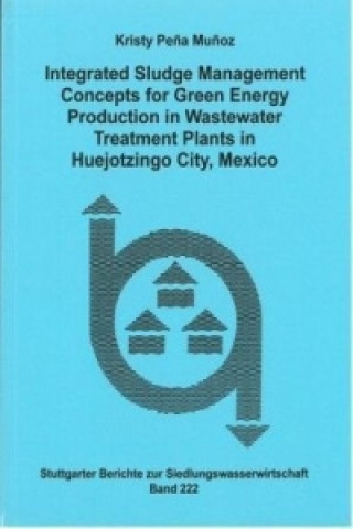 Integrated Sludge Management Concepts for Green Energy Production in Wastewater Treatment Plants in Huejotzingo City, Mexico