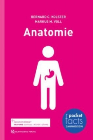 pocket facts Zahnmedizin - Anatomie