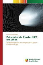 Principios de Cluster HPC em Linux