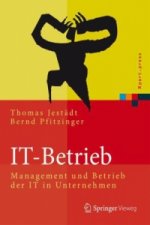IT-Betrieb