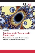 Topicos de la Teoria de la Recursion