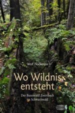 Wo Wildnis entsteht