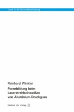 Porenbildung beim Laserstrahlschweißen von Aluminium-Druckguss