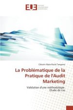 Problematique de la Pratique de l'Audit Marketing