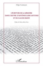 Lécriture De La Mémoire Dans Loeuvre Dan