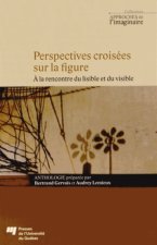 Perspectives Croisees Sur La Figure