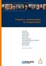 Prejudice Indemnisation Et Compensation