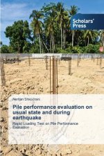 Pile performance evaluation on usual state and during earthquake