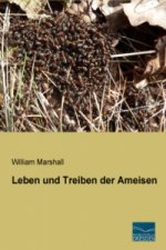 Leben und Treiben der Ameisen