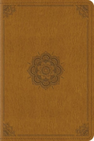 ESV Pocket New Testament With Psalms and Proverbs