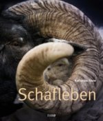 Schafleben