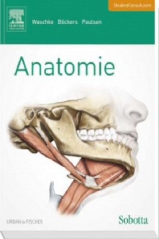 Sobotta Anatomie