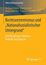 Rechtsextremismus Und 