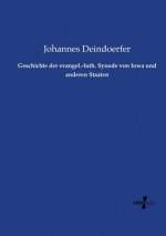 Geschichte der evangel.-luth. Synode von Iowa und anderen Staaten