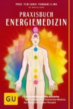 Praxisbuch Energiemedizin