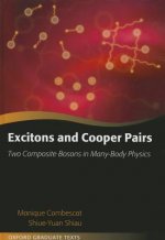 Excitons and Cooper Pairs