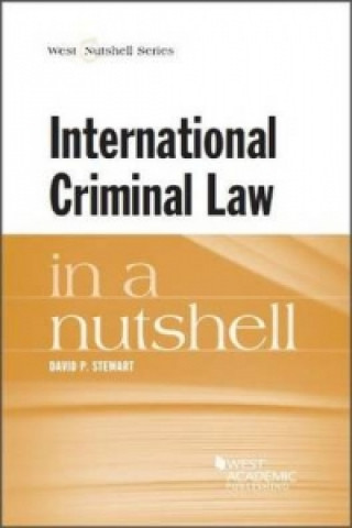 International Criminal Law in a Nutshell