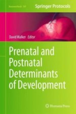 Prenatal and Postnatal Determinants of Development