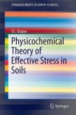 Physicochemical Theory of Effective Stress in Soils