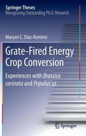 Grate-Fired Energy Crop Conversion