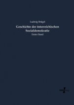 Geschichte der oesterreichischen Sozialdemokratie
