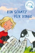 Jonas Weg ins Lesen - Ein Schatz für Bingo