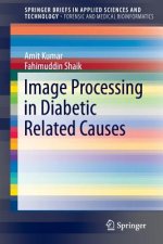 Image Processing in Diabetic Related Causes