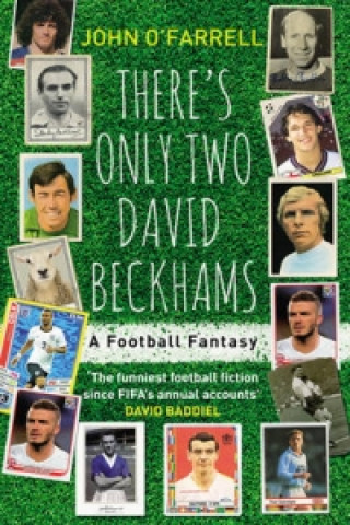There's Only Two David Beckhams