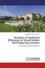 Analysis of Technical Efficiency of Small Holder Tef Producing Farmers